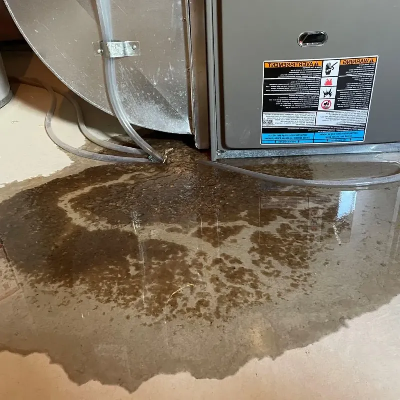 Pipe Burst and Leak Restoration in Pittsburgh, PA